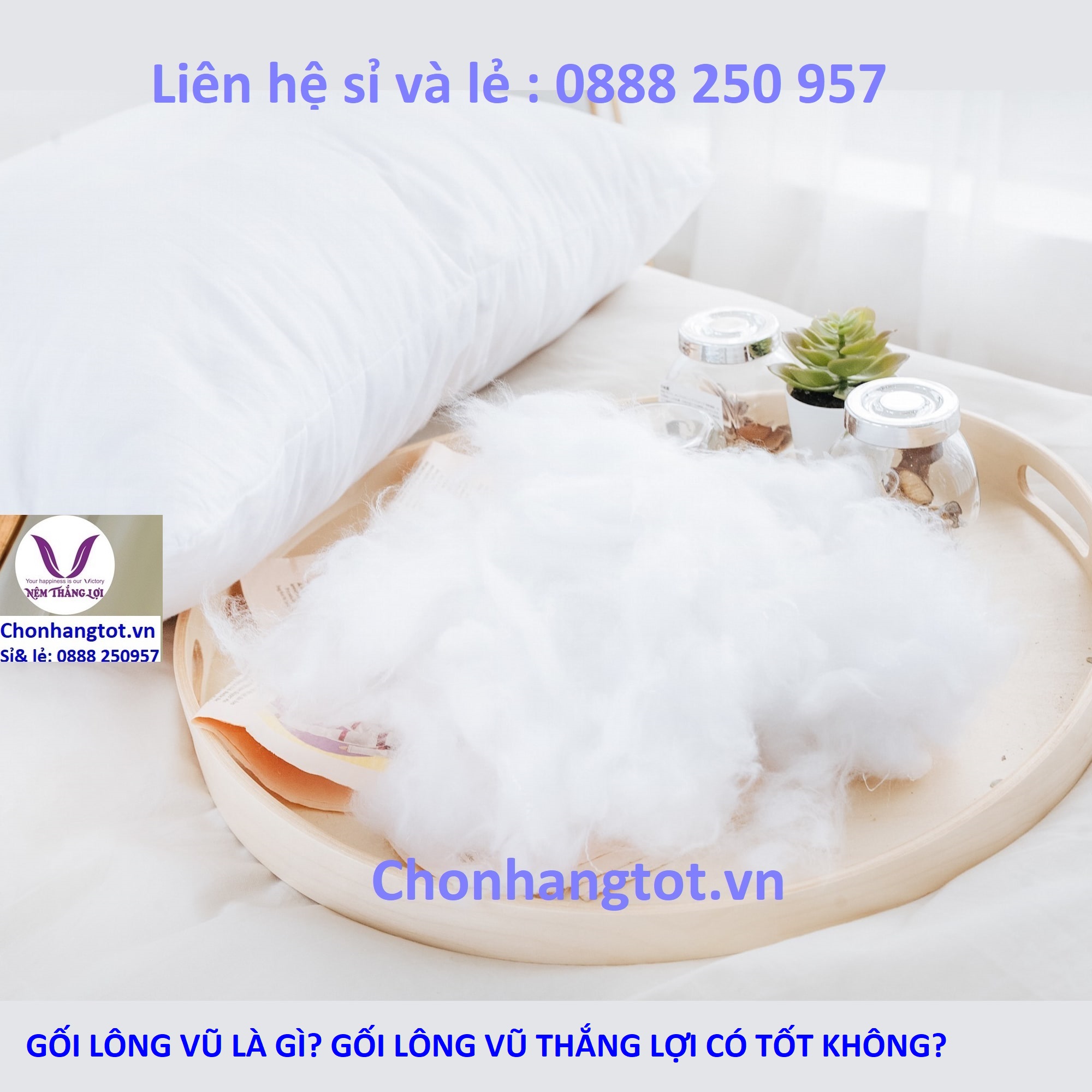 GỐI LÔNG VŨ LÀ GÌ? GỐI LÔNG VŨ THẮNG LỢI CÓ TỐT KHÔNG?