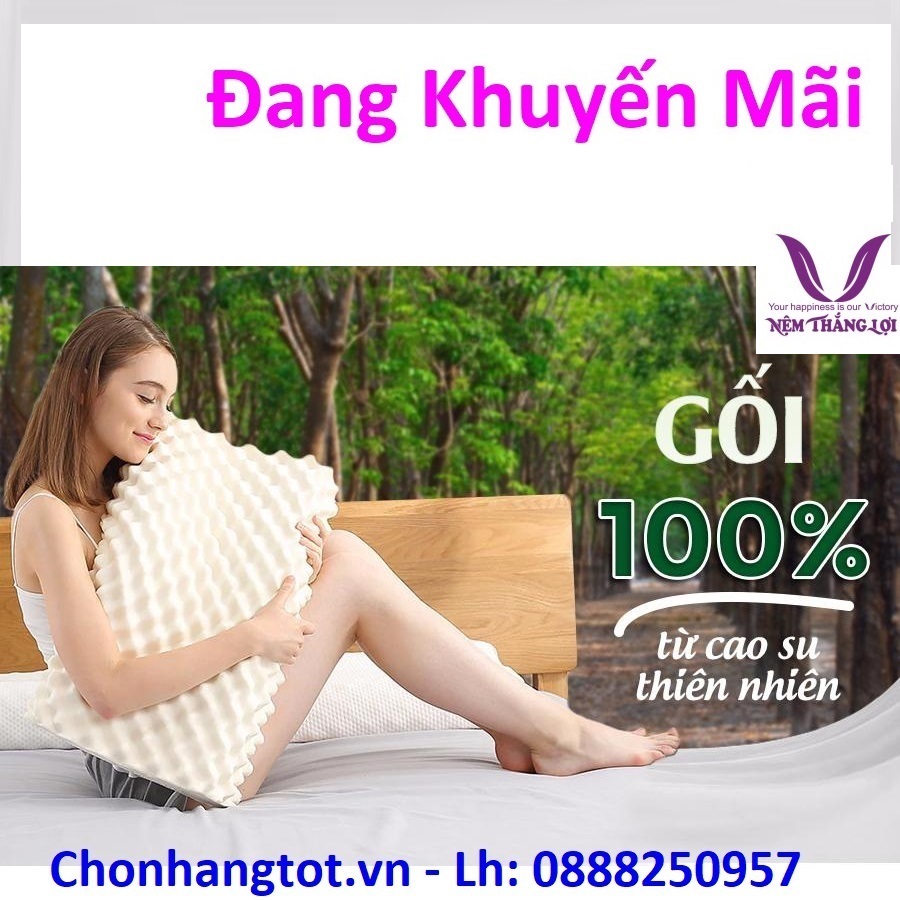 Gối Cao Su Thiên Nhiên Thắng Lợi Massage Nú Lớn