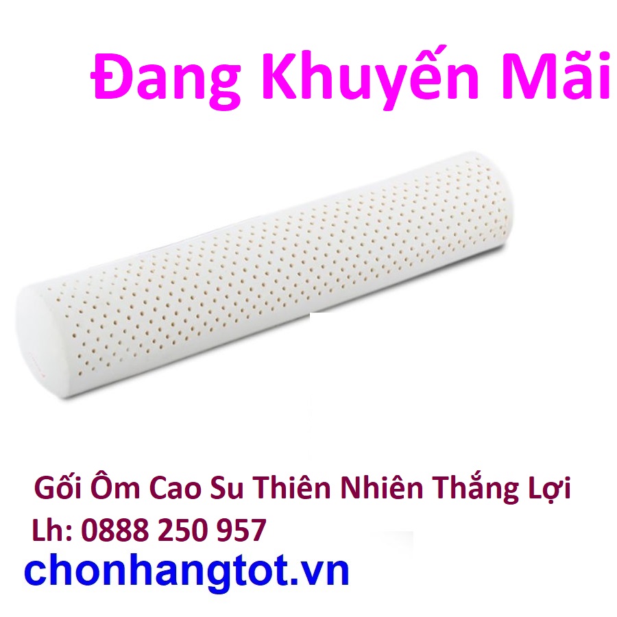 Gối Ôm lớn Cao Su Thiên Nhiên Thắng Lợi