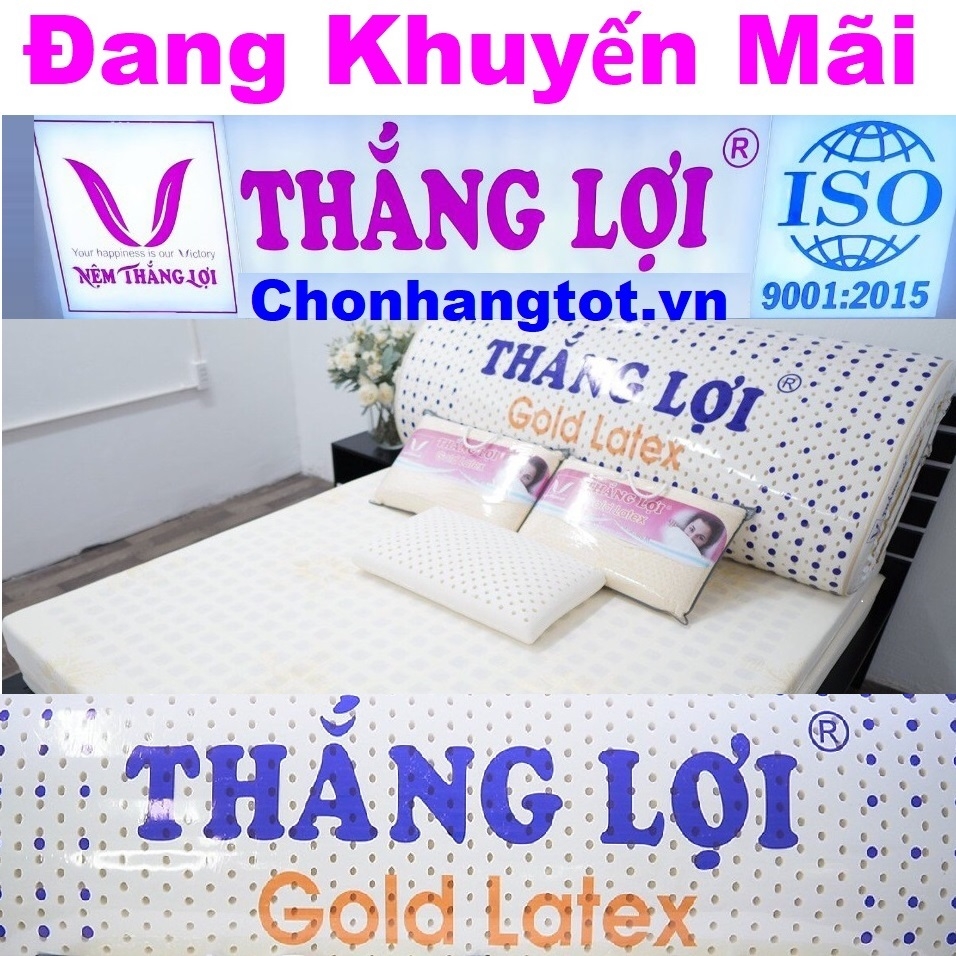 Nệm Cao Su Thắng Lợi Gold Latex 1m x 2m x 15cm