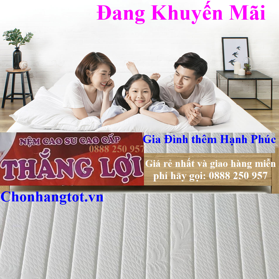 Nệm Foam 1m4 x 2m x 17cm (Nệm Foam Thắng Lợi 1m4)